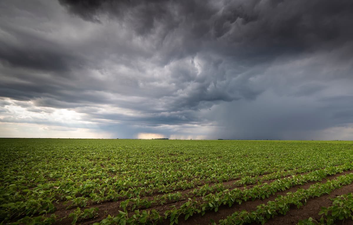 Agrometeorologia: Como A Meteorologia Pode Ajudar Na Produção Agrícola